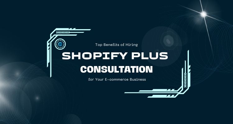 shopify pro consultation